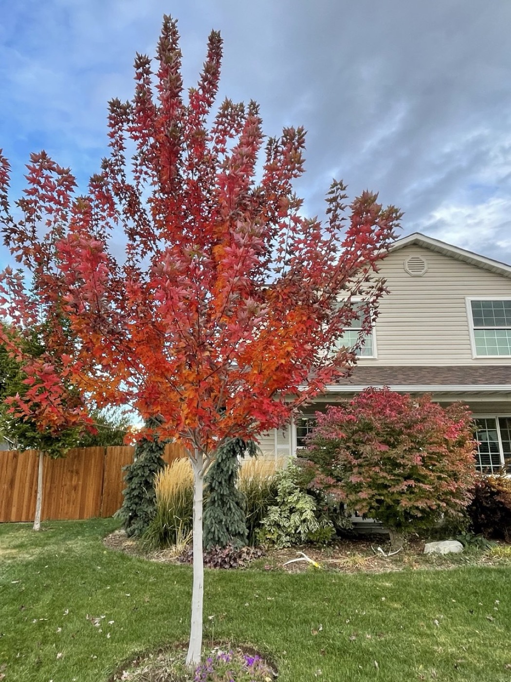 Spring & Fall Clean-Up