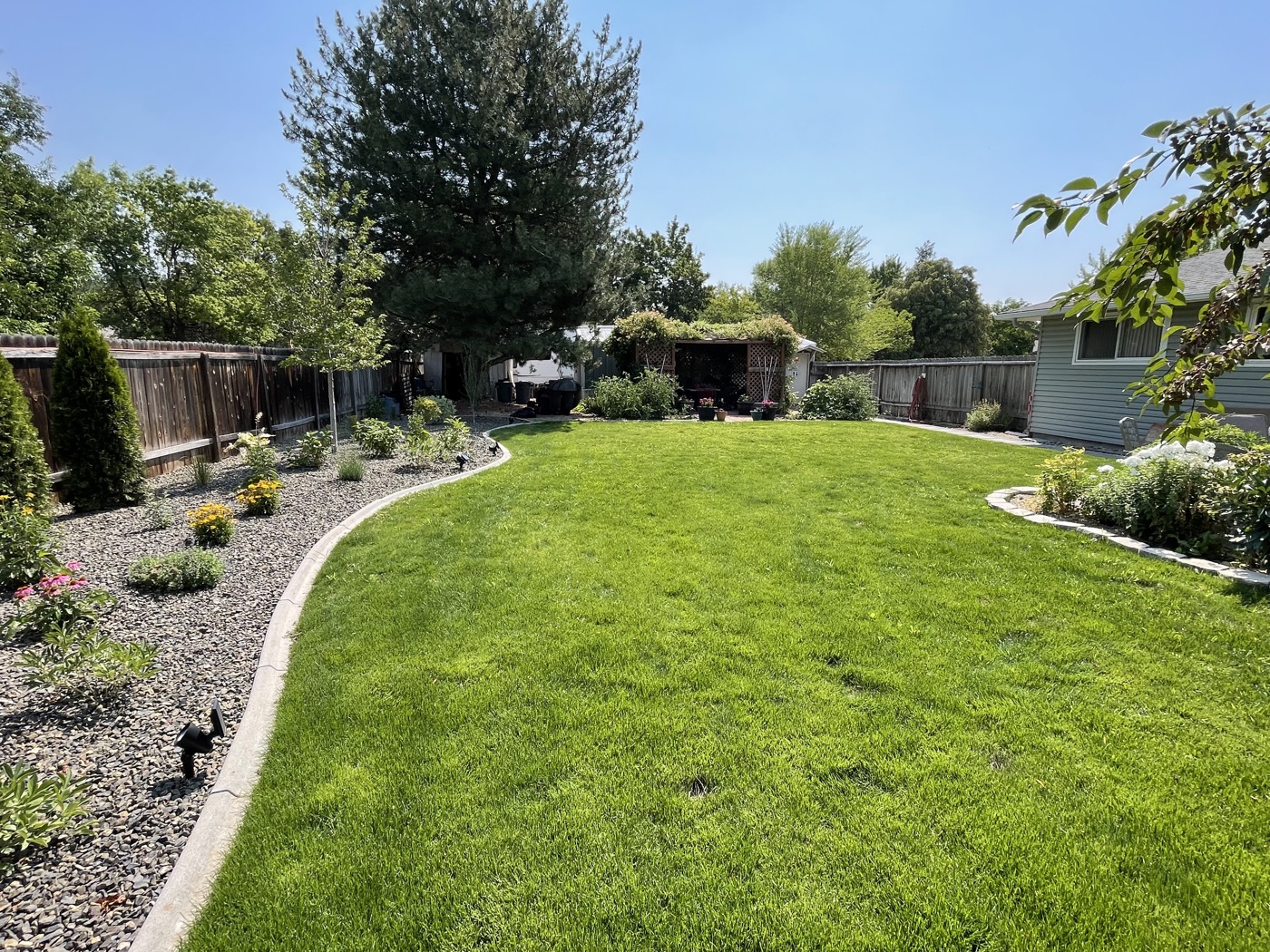 Manicured backyard with curved planting bed borders