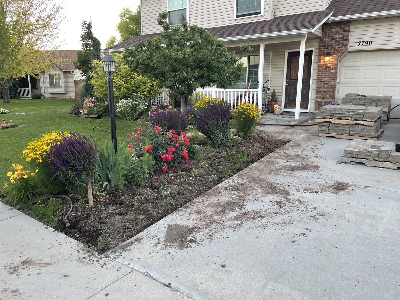 Colorful front yard garden with paver driveway edge